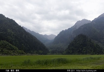 甘海子