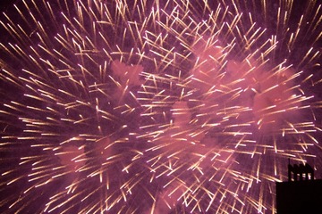 IMG_5995.jpg