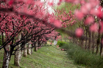 IMG_6501u.jpg