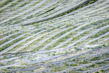 DSC_5669副本.jpg