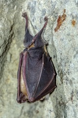 DSC_5684副本.jpg