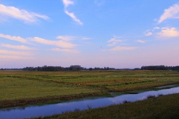 IMG_3963.jpg