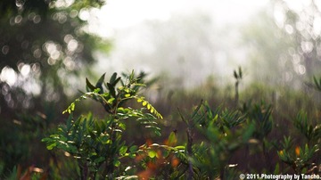清晨5