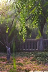 清晨7