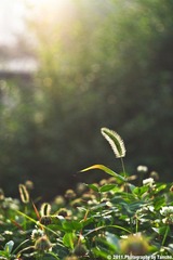 清晨10