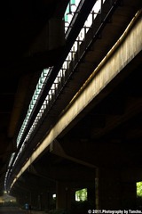 清晨13