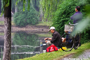 IMGP9163-11