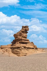 未命名 (7 - 11).jpg