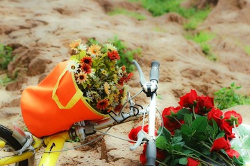 IMG_6843.jpg