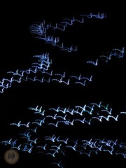 nEO_IMG_旋转 DSC04785.jpg