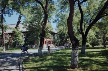 R0000260
