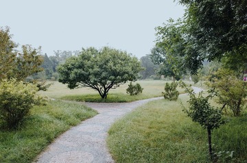 R0000313