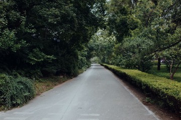 R0000333