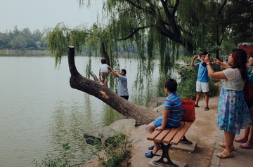 R0000342