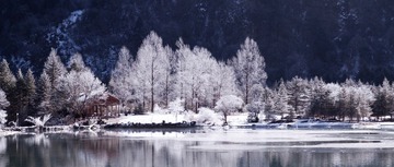 IMG_7435.jpg
