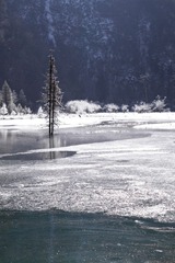 IMG_7441.jpg