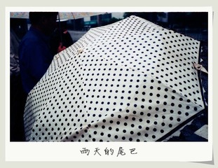 雨天的尾巴