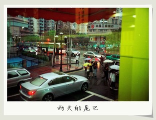 雨天的尾巴