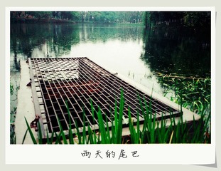 雨天的尾巴