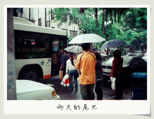 雨天的尾巴
