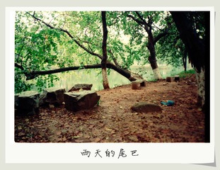 雨天的尾巴
