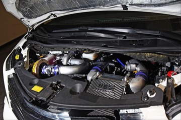 IMG_7892.JPG