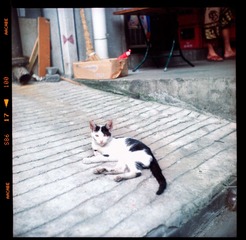 Batch Pict0083