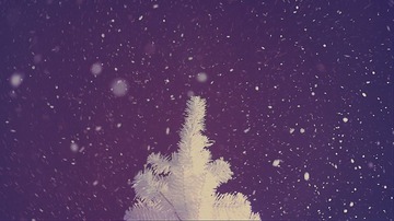 01 (18)