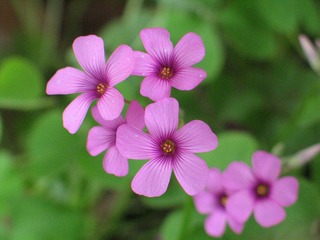 IMG_0014处理.jpg