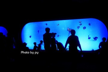 SEA2