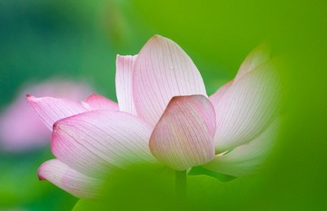 遮掩