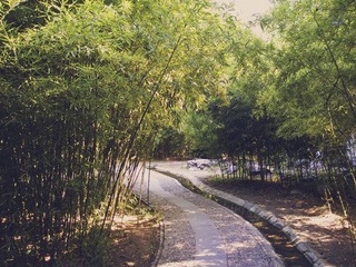 P1010217_副本.jpg