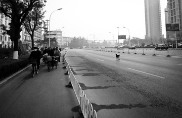 20121121-DSC04116