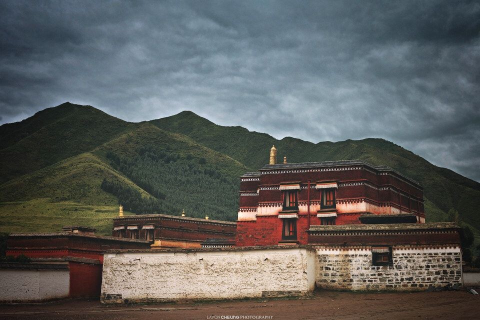 没有喇嘛的寺院<br />
拉卜楞寺外面湿湿的泥地上