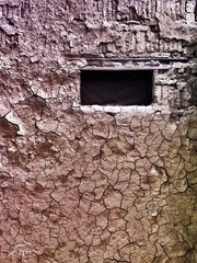 IMG_43862.jpg
