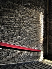IMG_17812.jpg