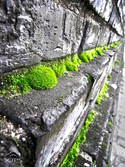 IMG_44282.jpg