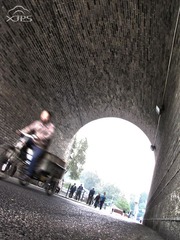 IMG_44412.jpg