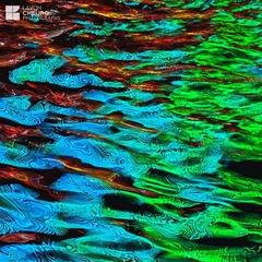 IMG_5593.jpg