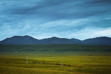 IMG_9718.jpg