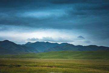 IMG_9723.jpg