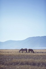 IMG_4843.jpg