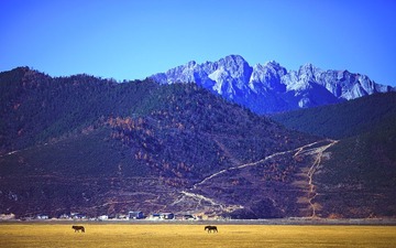 IMG_4866.jpg
