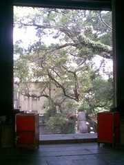门里的树