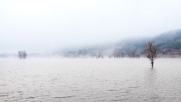 DSC_1726.jpg