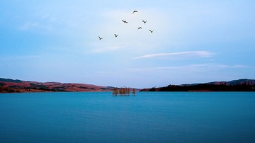 DSC_6736.jpg