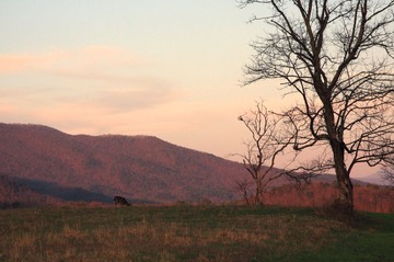 IMG_89971.jpg