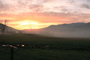 IMG_90111.jpg