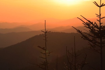 IMG_91091.jpg