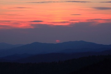 IMG_91531.jpg